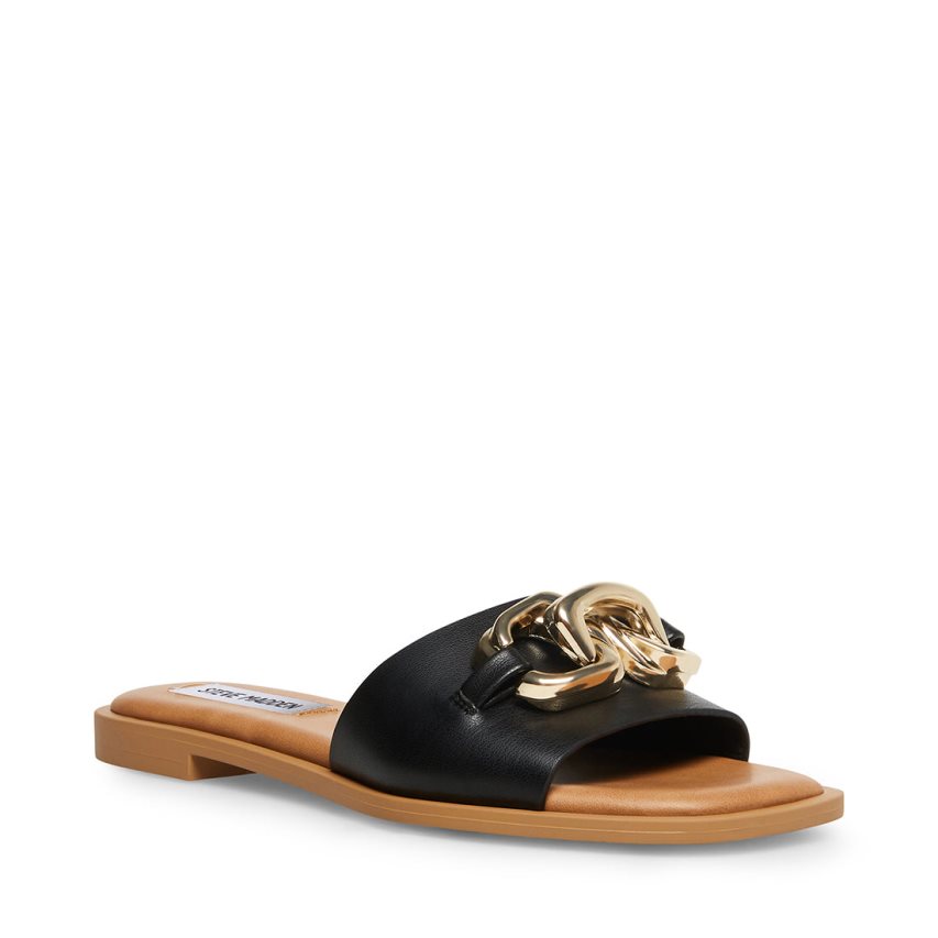 Black Steve Madden Gene Women's Slides | PH 2159WDE